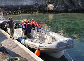 CW-Azores-Whale-Watching