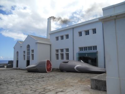 Museu Da Fabrica Da Baleia Do Boqueirao